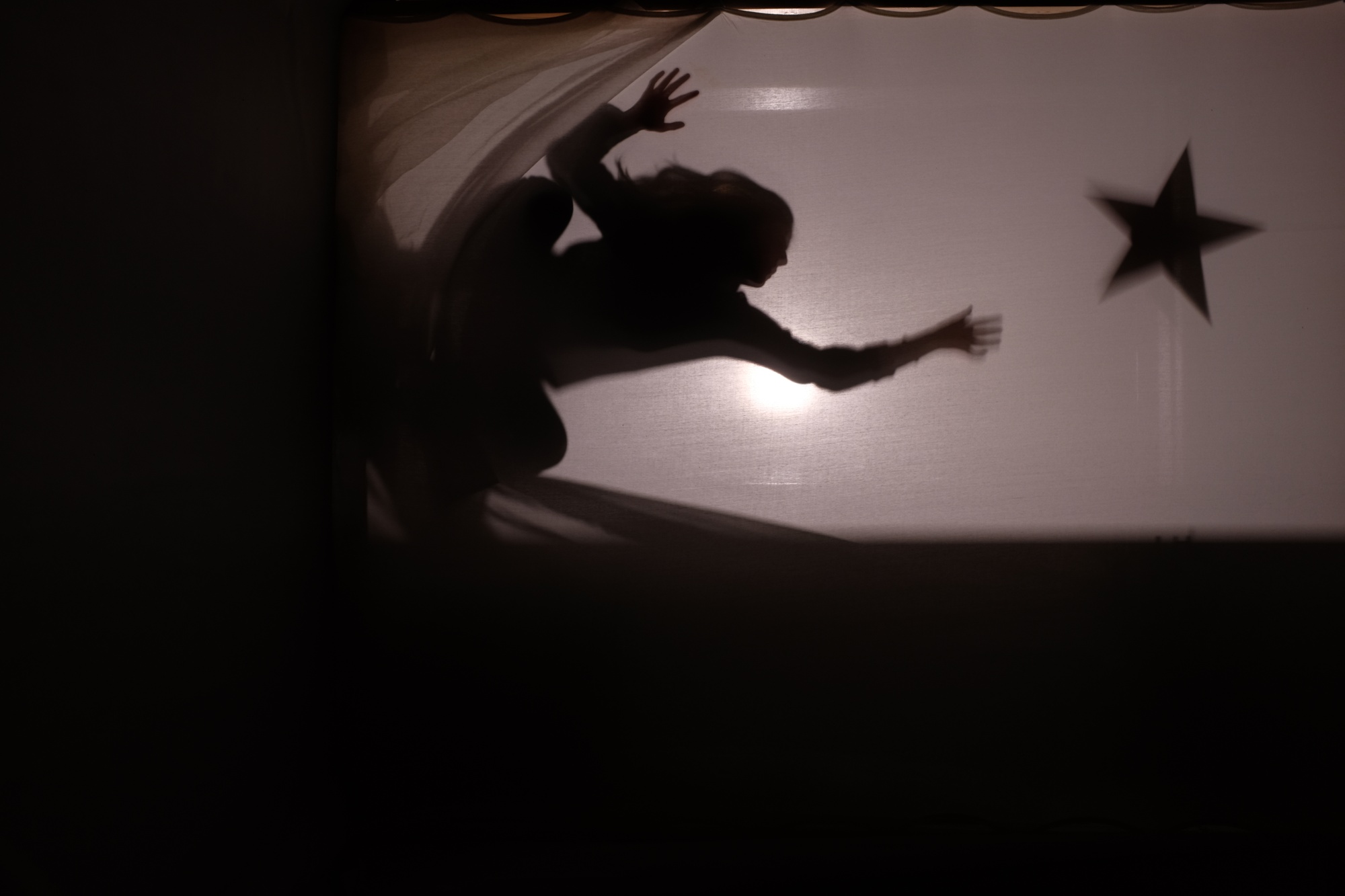 Shadow and light show