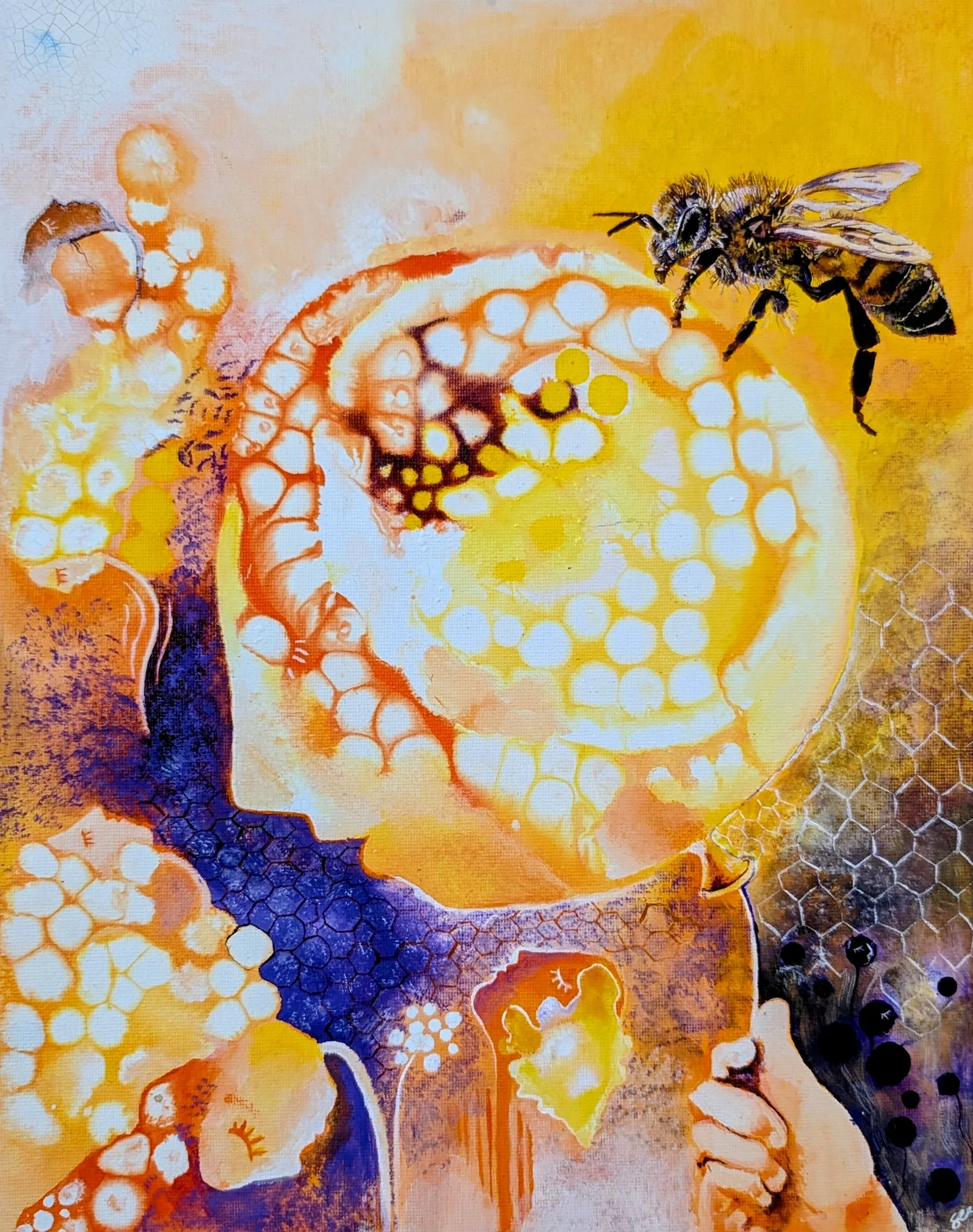 Bee Hives