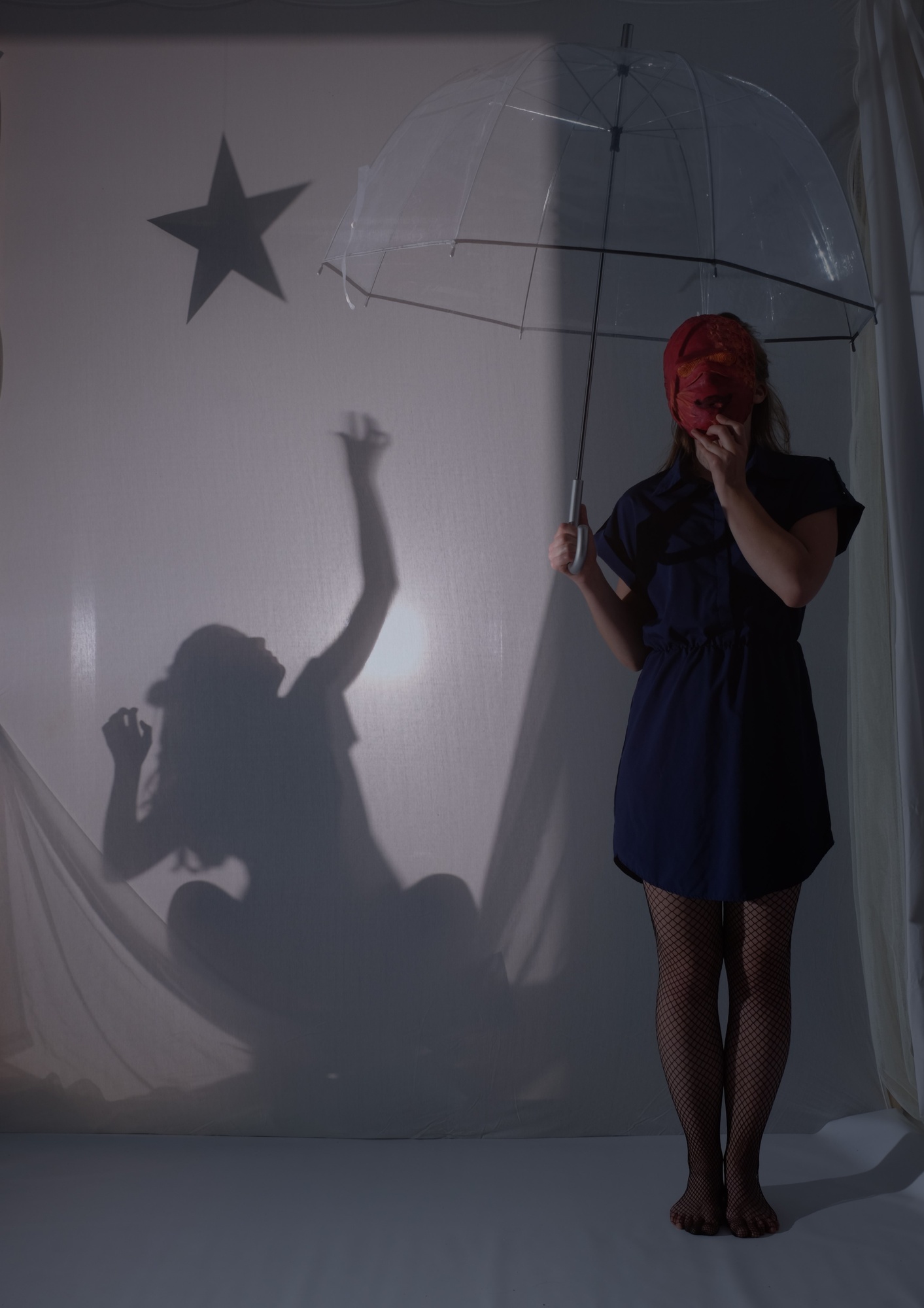 Shadow show performance